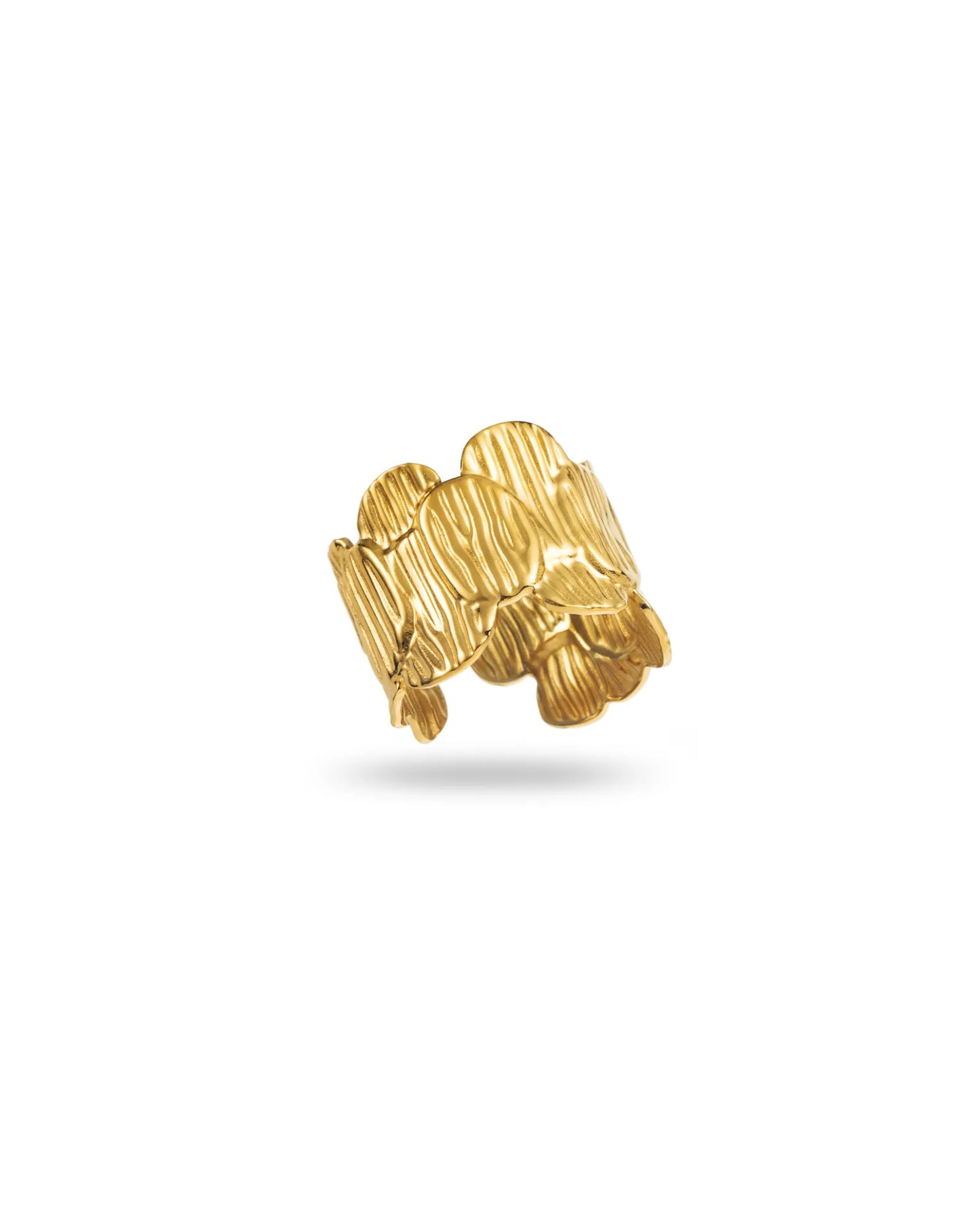 Bague en acier inoxydable
